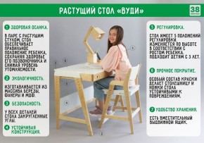 Комплект растущий стол и стул с чехлом 38 попугаев «Вуди» (Белый, Белый, Салют) в Екатеринбурге - ekaterinburg.mebel-74.com | фото