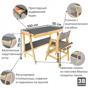 Комплект растущий стол и стул с чехлом 38 попугаев «Вуди» (Серый, Береза, Серый) в Екатеринбурге - ekaterinburg.mebel-74.com | фото