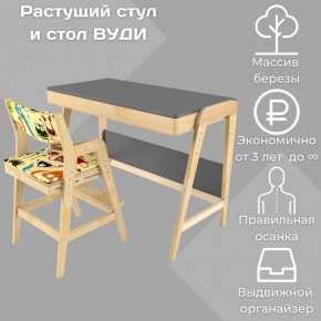 Комплект растущий стол и стул с чехлом 38 попугаев «Вуди» (Серый, Без покрытия, Монстры) в Екатеринбурге - ekaterinburg.mebel-74.com | фото