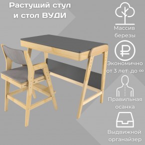 Комплект растущий стол и стул с чехлом 38 попугаев «Вуди» (Серый, Без покрытия, Серый) в Екатеринбурге - ekaterinburg.mebel-74.com | фото