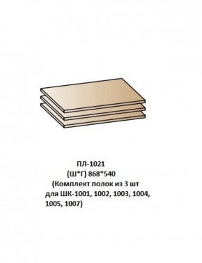 ПЛ-1021 (Комплект полок из 3 шт для ШК-1001, 1002, 1003, 1004, 1005, 1007) в Екатеринбурге - ekaterinburg.mebel-74.com | фото