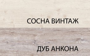Шкаф 2D1SL, MONAKO, цвет Сосна винтаж/дуб анкона в Екатеринбурге - ekaterinburg.mebel-74.com | фото