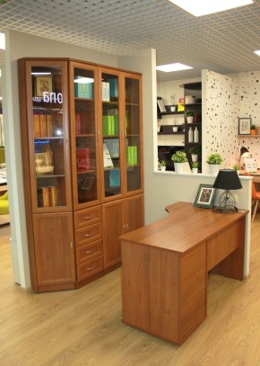 Шкаф для книг арт. 200 в Екатеринбурге - ekaterinburg.mebel-74.com | фото