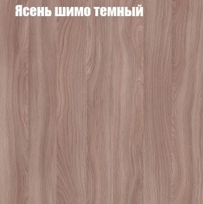 Шкаф-купе «ТАНДЕМ» 2-х дверный в алюминиевом профиле (Дверь К+К) 1200/h2200 в Екатеринбурге - ekaterinburg.mebel-74.com | фото