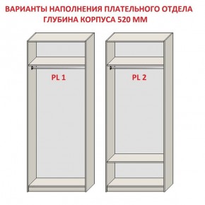 Шкаф распашной серия «ЗЕВС» (PL3/С1/PL2) в Екатеринбурге - ekaterinburg.mebel-74.com | фото