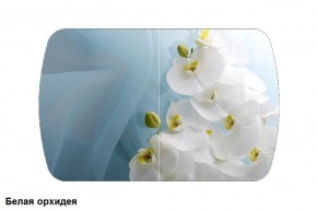 Стол Бостон 2 (1100*700) опоры Брифинг (Стекло/фотопечать Белая орхидея) в Екатеринбурге - ekaterinburg.mebel-74.com | фото