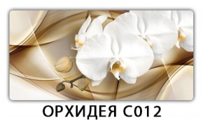 Стол раздвижной Трилогия с фотопечатью Орхидея C012 в Екатеринбурге - ekaterinburg.mebel-74.com | фото